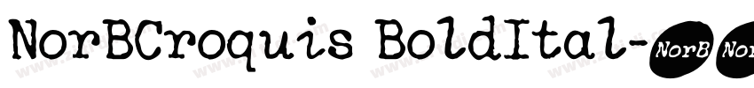 NorBCroquis BoldItal字体转换